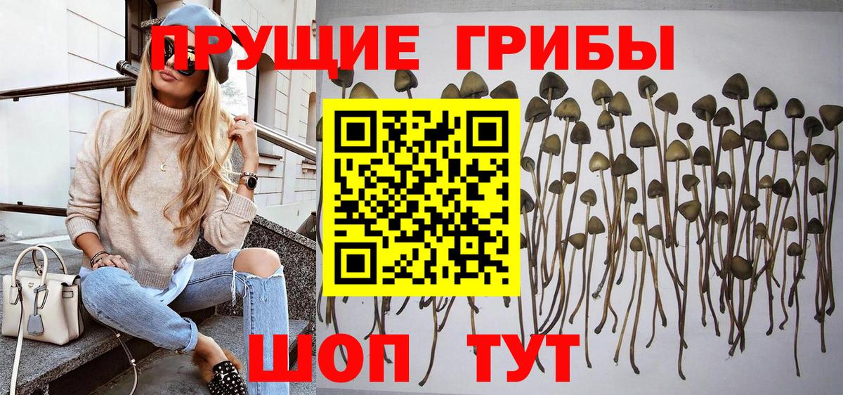 Псилоцибиновые грибы мухоморы Ноябрьск